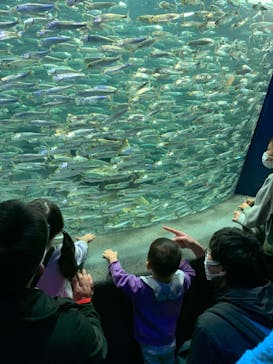 サンシャイン水族館に投稿された画像（2023/2/12）