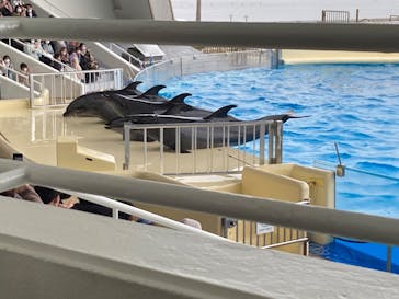 マリンワールド海の中道に投稿された画像（2023/2/12）