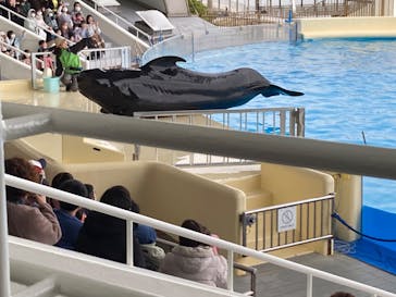 マリンワールド海の中道に投稿された画像（2023/2/12）