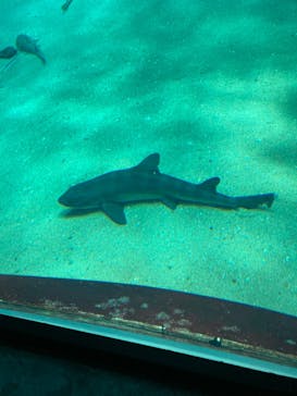 マリンワールド海の中道に投稿された画像（2023/2/12）