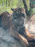 よこはま動物園ズーラシアに投稿された画像（2023/2/12）