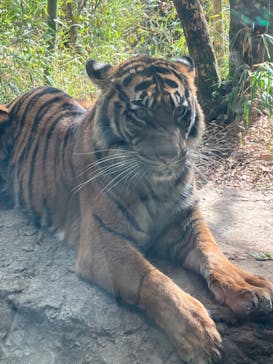 よこはま動物園ズーラシアに投稿された画像（2023/2/12）