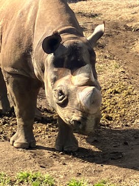 よこはま動物園ズーラシアに投稿された画像（2023/2/12）