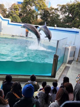 しながわ水族館に投稿された画像（2023/2/12）