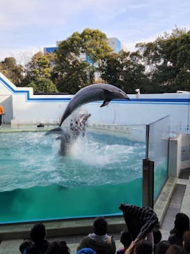 しながわ水族館に投稿された画像（2023/2/12）