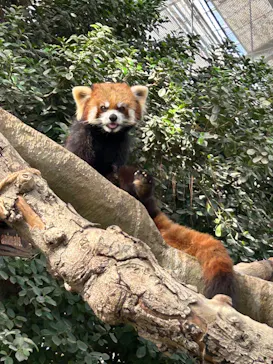 神戸どうぶつ王国に投稿された画像（2023/2/12）