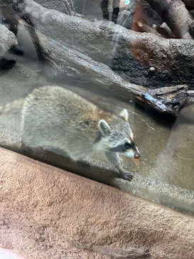 神戸どうぶつ王国に投稿された画像（2023/2/12）