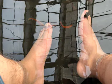 神戸どうぶつ王国に投稿された画像（2023/2/12）