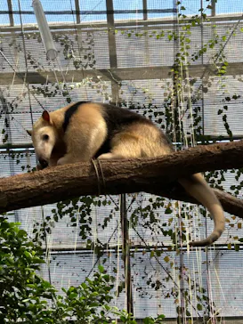 神戸どうぶつ王国に投稿された画像（2023/2/12）