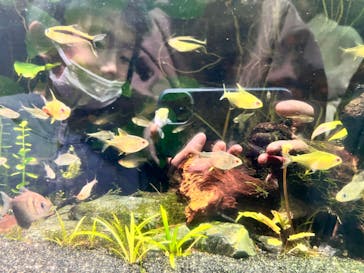 サンシャイン水族館に投稿された画像（2023/2/12）