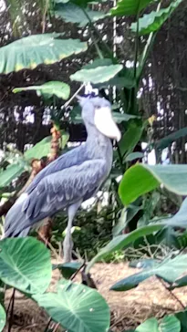 神戸どうぶつ王国に投稿された画像（2023/2/12）