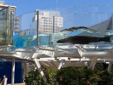 サンシャイン水族館に投稿された画像（2023/2/12）