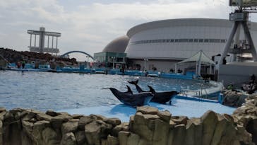 名古屋港水族館に投稿された画像（2023/2/12）