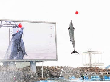 名古屋港水族館に投稿された画像（2023/2/12）