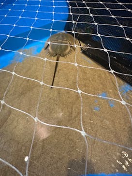 アクアワールド茨城県大洗水族館に投稿された画像（2023/2/12）