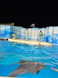 新江ノ島水族館に投稿された画像（2023/2/12）