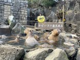 伊豆シャボテン動物公園に投稿された画像（2023/2/12）