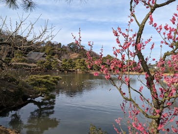 三溪園に投稿された画像（2023/2/12）
