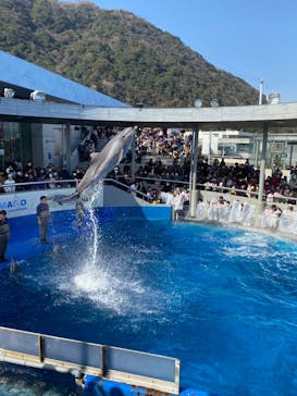 大分マリーンパレス水族館 「うみたまご」に投稿された画像（2023/2/12）