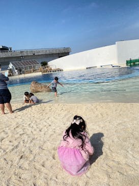 大分マリーンパレス水族館 「うみたまご」に投稿された画像（2023/2/12）