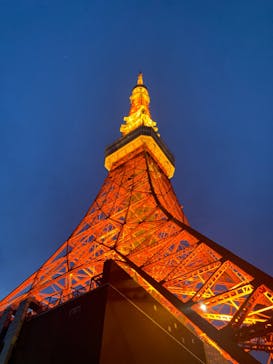 東京タワーに投稿された画像（2023/2/12）