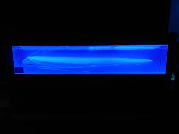 マリンワールド海の中道に投稿された画像（2023/2/12）