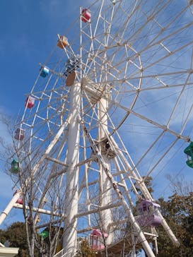 東条湖おもちゃ王国に投稿された画像（2023/2/12）