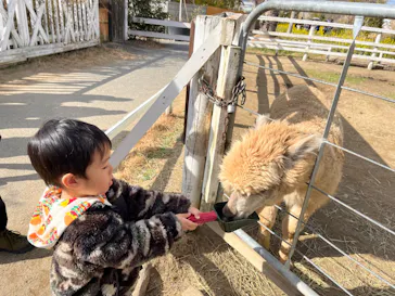神戸どうぶつ王国に投稿された画像（2023/2/12）
