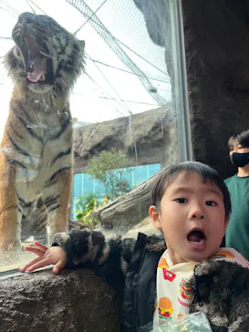 神戸どうぶつ王国に投稿された画像（2023/2/12）