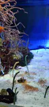 名古屋港水族館に投稿された画像（2023/2/12）