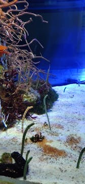 名古屋港水族館に投稿された画像（2023/2/12）