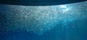 名古屋港水族館に投稿された画像（2023/2/12）