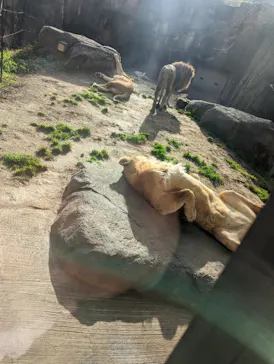 天王寺動物園に投稿された画像（2023/2/12）