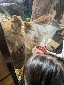 天王寺動物園に投稿された画像（2023/2/12）