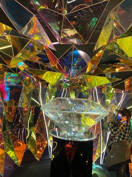 NARA KINGYO MUSEUMに投稿された画像（2023/2/12）