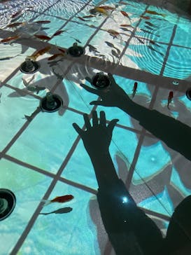 NARA KINGYO MUSEUMに投稿された画像（2023/2/12）