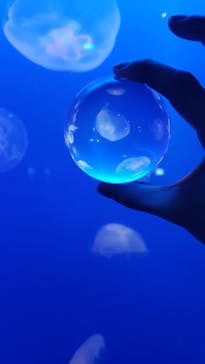 新江ノ島水族館に投稿された画像（2023/2/12）