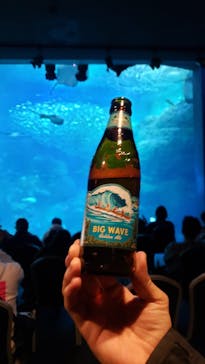 新江ノ島水族館に投稿された画像（2023/2/12）