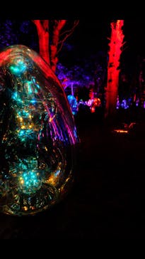 チームラボ ボタニカルガーデン 大阪に投稿された画像（2023/2/12）