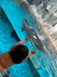 大分マリーンパレス水族館 「うみたまご」に投稿された画像（2023/2/12）