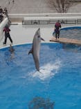 九十九島水族館海きららに投稿された画像（2023/2/12）