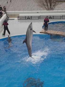 九十九島水族館海きららに投稿された画像（2023/2/12）