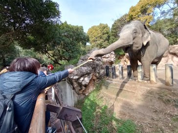 到津の森公園に投稿された画像（2023/2/12）