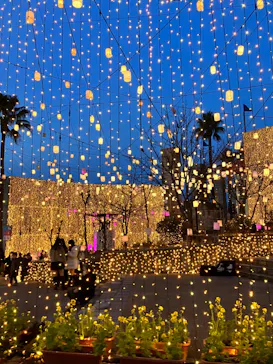 ひらかたパークに投稿された画像（2023/2/12）