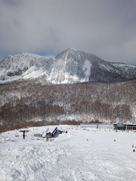 黒伏高原スノーパーク ジャングル・ジャングルに投稿された画像（2023/2/12）