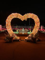 大阪府立花の文化園に投稿された画像（2023/2/12）