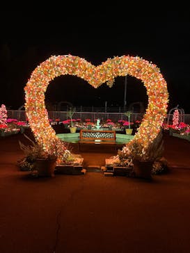 大阪府立花の文化園に投稿された画像（2023/2/12）
