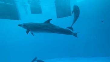 名古屋港水族館に投稿された画像（2023/2/12）