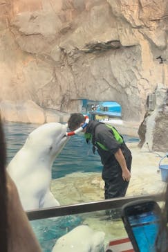 名古屋港水族館に投稿された画像（2023/2/12）