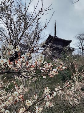 三溪園に投稿された画像（2023/2/12）